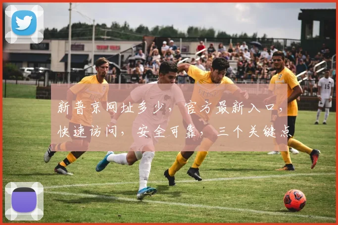 新普京网址多少，官方最新入口，快速访问，安全可靠，三个关键点，一网打尽