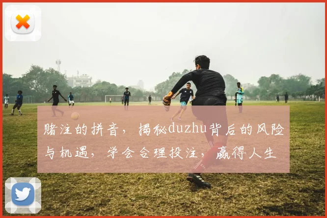 赌注的拼音，揭秘duzhu背后的风险与机遇，学会合理投注，赢得人生胜利