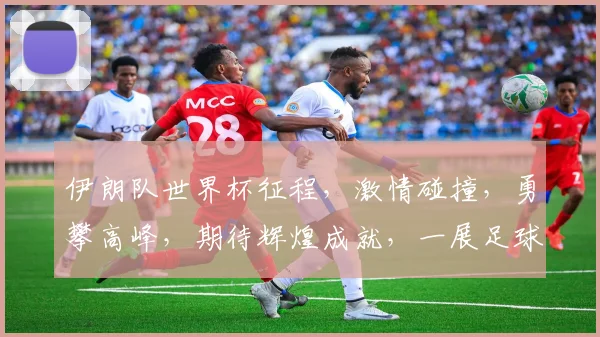 伊朗队世界杯征程，激情碰撞，勇攀高峰，期待辉煌成就，一展足球魅力
